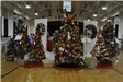 11-12 tree fest