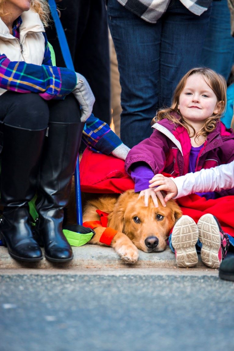 Bel_Air_Xmas_DSC6370webres (Medium)