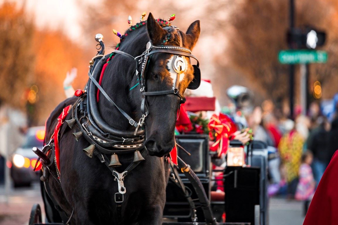 Bel_Air_Xmas_DSC6601webres (Medium)