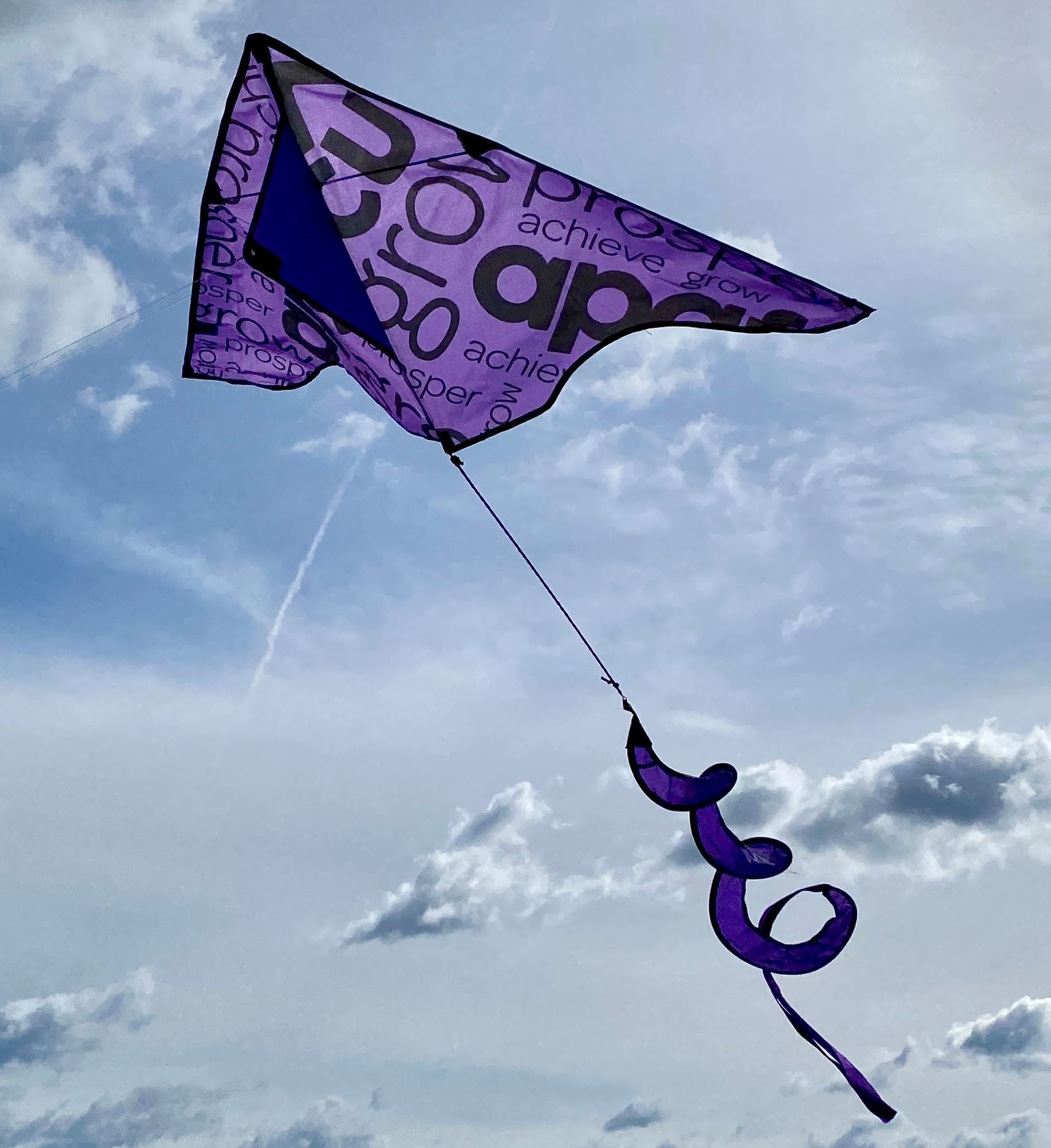 Photo of a kite in the air during 2024 Bel Air Kite Festival