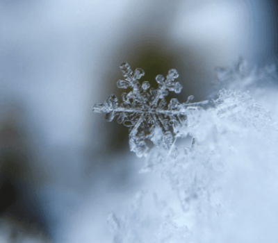 Image of snowflake sized for Spotlight stories