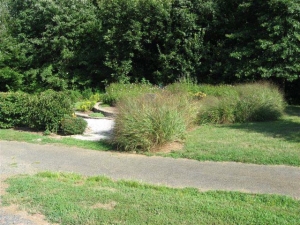 Rockfield Park Garden